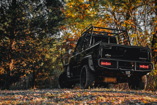 Электрический UTV Pickup (Грузовой гольфкар) 2хместный 2/4WD
