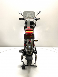 Электровелосипед GreenCamel Транк Монстр PRO (R16FAT 800W 60V20Ah)