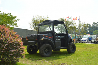 Багги LT604F2